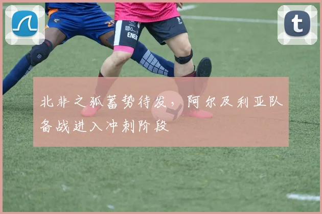 北非之狐蓄势待发，阿尔及利亚队备战进入冲刺阶段