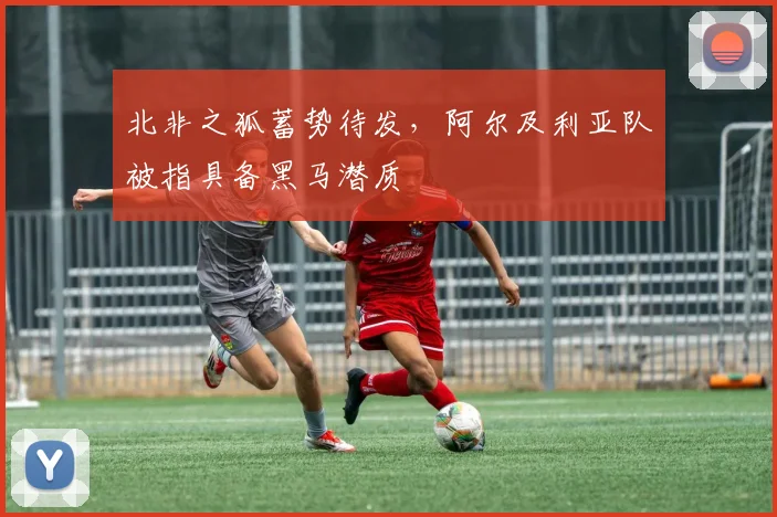 北非之狐蓄势待发，阿尔及利亚队被指具备黑马潜质