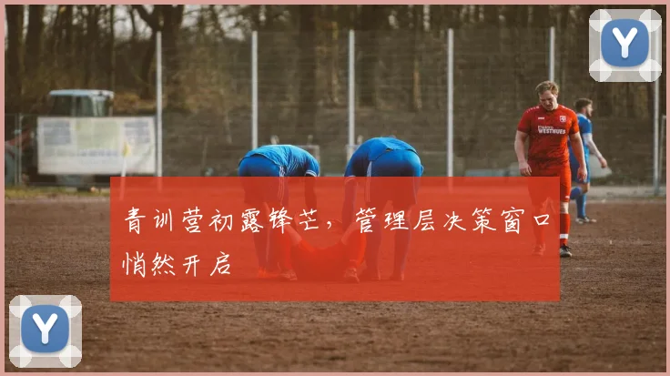 青训营初露锋芒，管理层决策窗口悄然开启