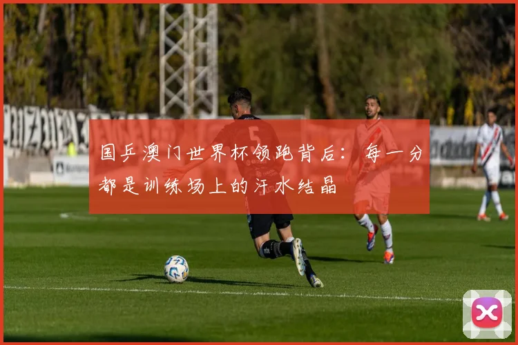 国乒澳门世界杯领跑背后：每一分都是训练场上的汗水结晶
